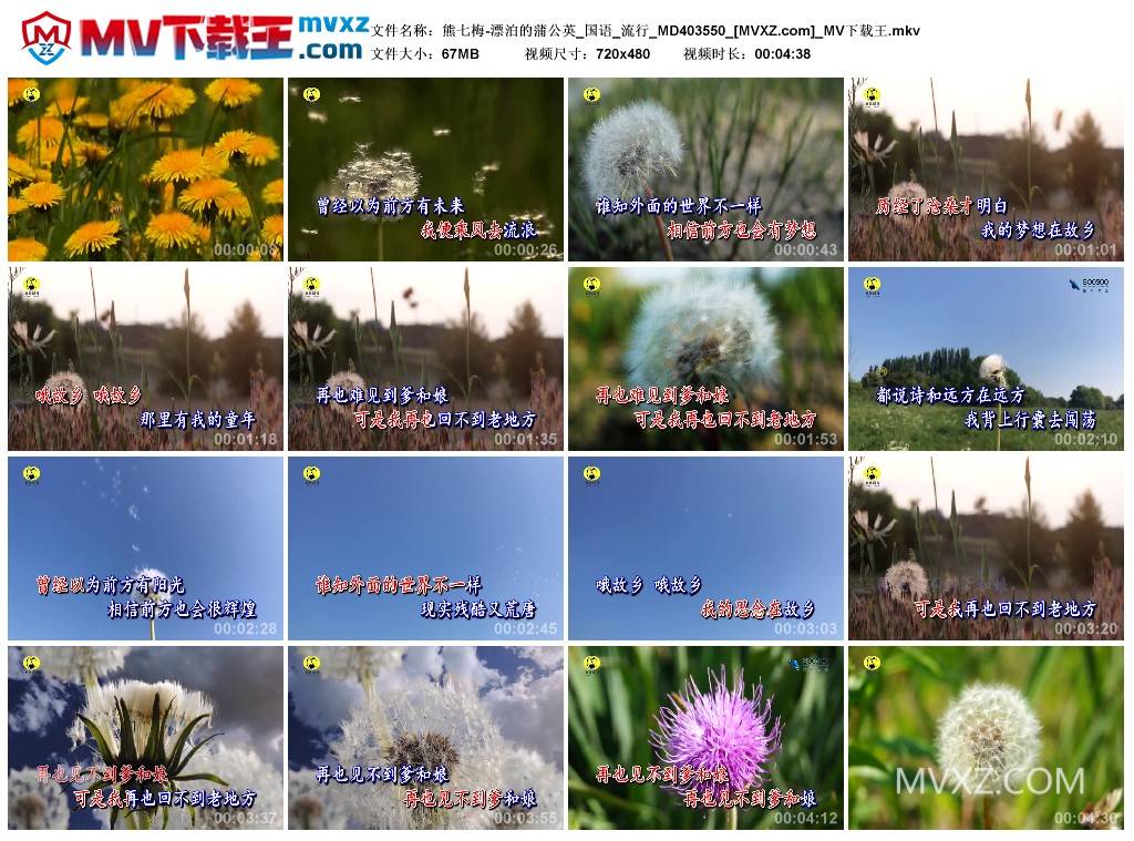 熊七梅-漂泊的蒲公英_国语_流行_MD403550